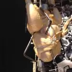Poulet sur broche